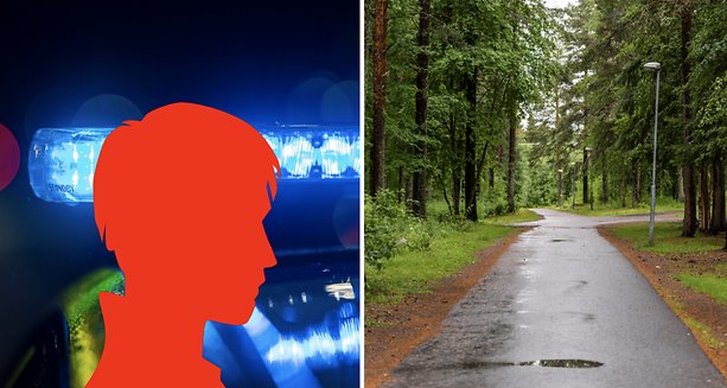 Mordförsöken i Skellefteå, Våldtäkt 
